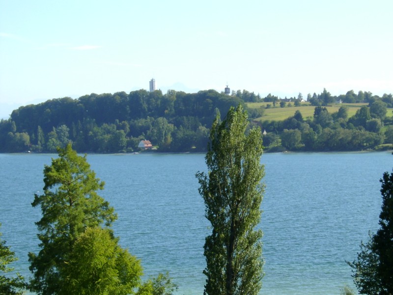 Letnie widoki