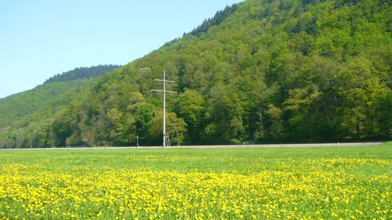 wiosennie