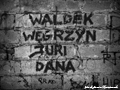 Wagary