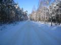Sokolniki zimą