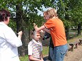 II Międzyszkolny Turniej Bezpieczeństwa w Ruchu Drogowym