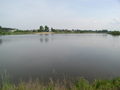 zalew