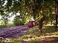 Pierwszy pociąg w Ozorkowie po 5 latach przerwy