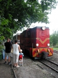 Kolejka wąskotorowa na stacji w Ozorkowie