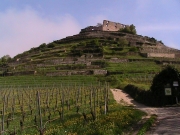 Winnice