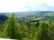 Przyroda