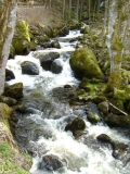 Potok
