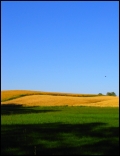 Sielanka